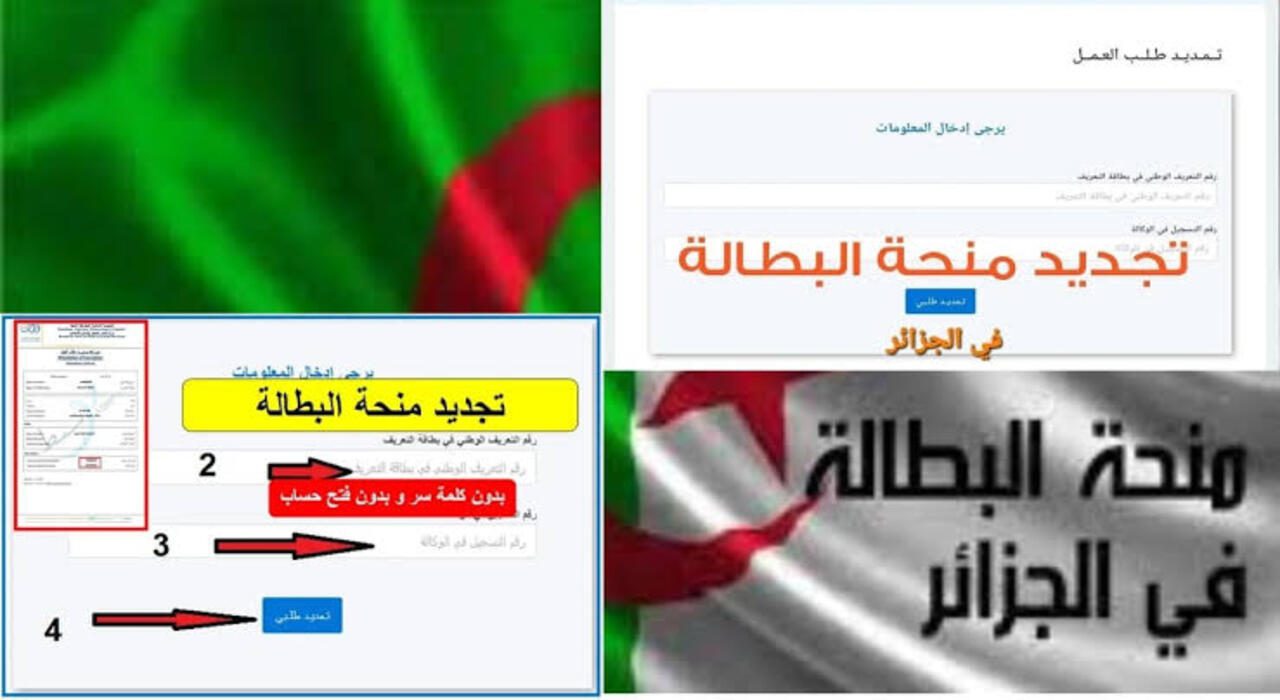 جددها قبل الإيقاف.. رابط تجديد منحة البطالة في الجزائر كل 6 أشهر wassitonline.anem.dz