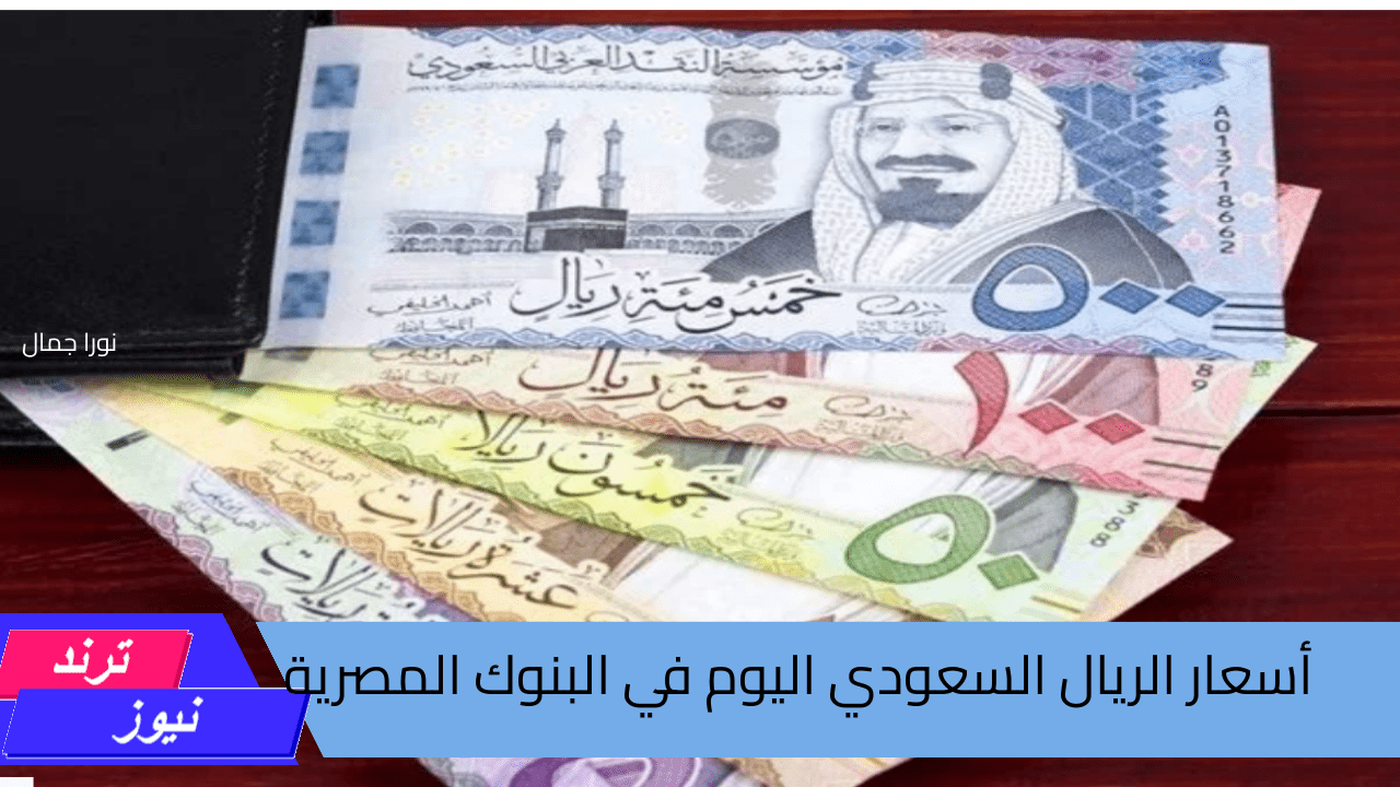 سعر غير متوقع.. أسعار الريال السعودي في مصر رغم تراجع الدولار