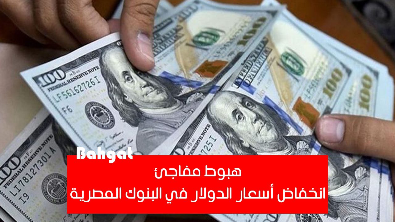 هبوط مفاجئ… انخفاض أسعار الدولار اليوم في البنوك المصرية 21 أغسطس