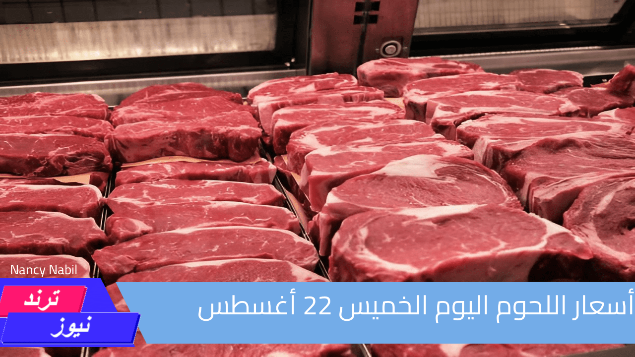 أسعار اللحوم اليوم الخميس 22 أغسطس الكندوز والضأن والبتلو في السوق