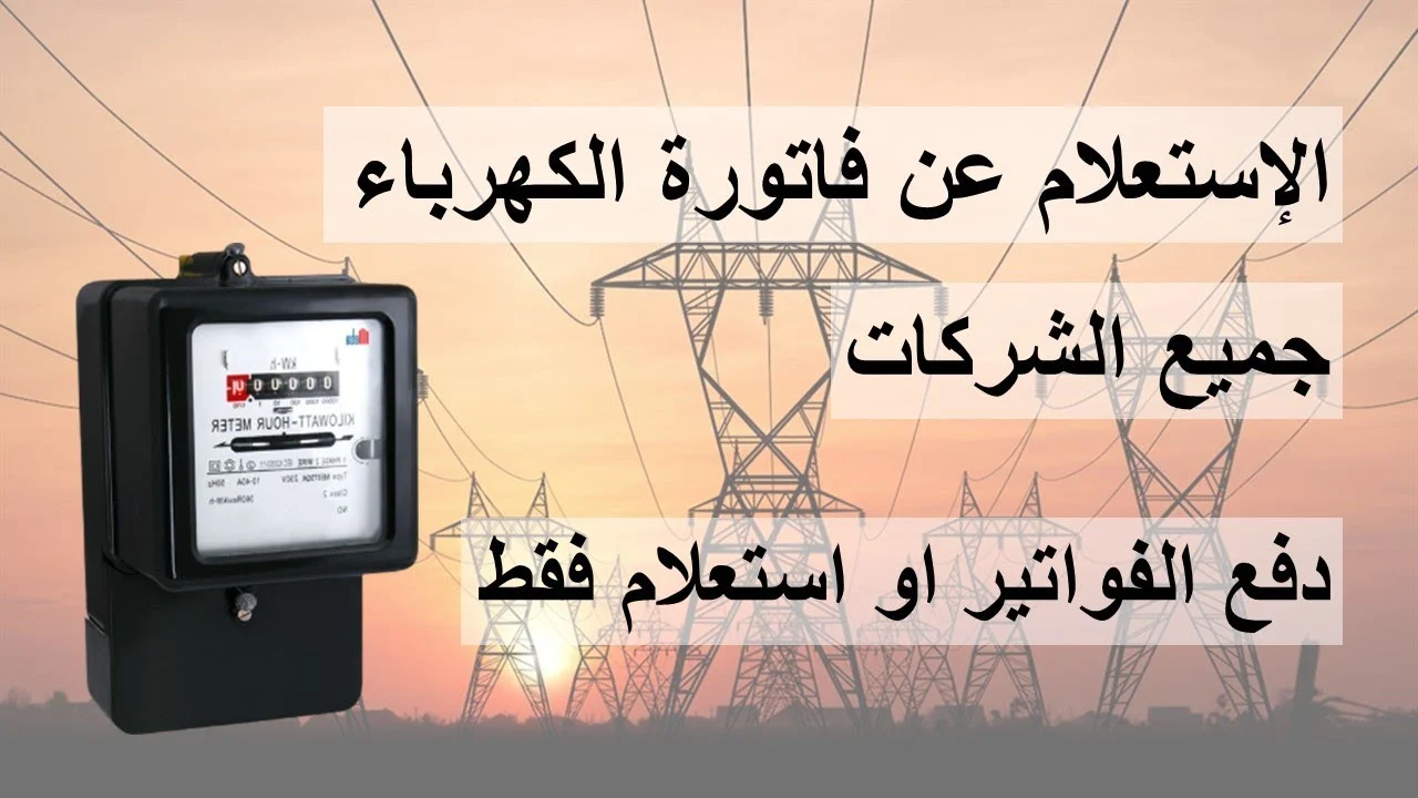 “اللينك والخطوات” طريقة الاستعلام عن فاتورة الكهرباء برقم العداد 2024 عبر موقع ncedc.gov.eg