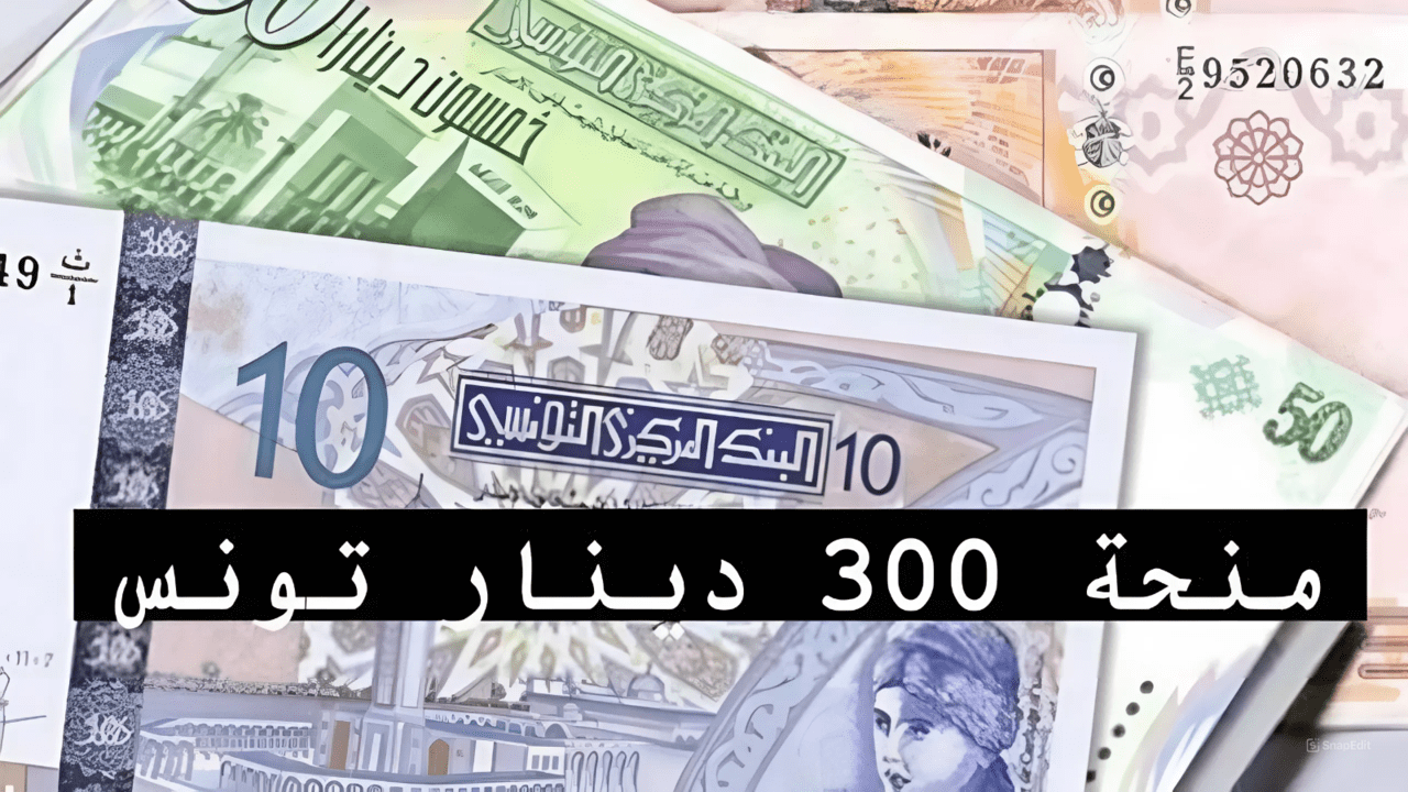 وزير الشؤون الإجتماعية يوضح.. حقيقية زيادة منحة العائلات المعوزة بتونس وكيفية التقديم على المنحة