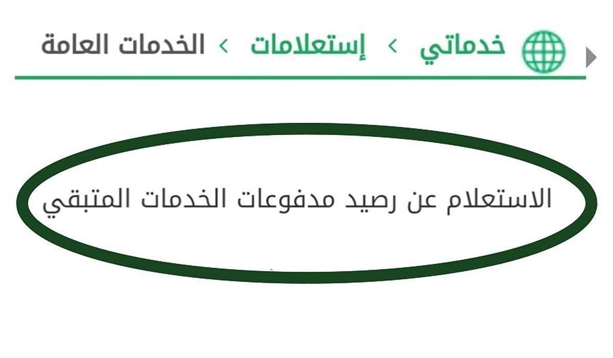 طريقة الاستعلام عن رصيد المدفوعات الخدمات المتبقي بالسعودية عبر أبشر 1446