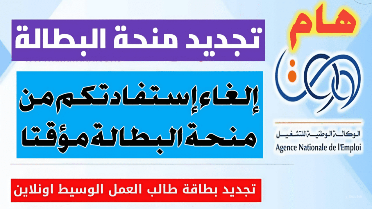 احذر من الإيقاف.. خطوات تجديد منحة البطالة في الجزائر 2024 والشروط والأوراق اللازمة للإستفادة منها