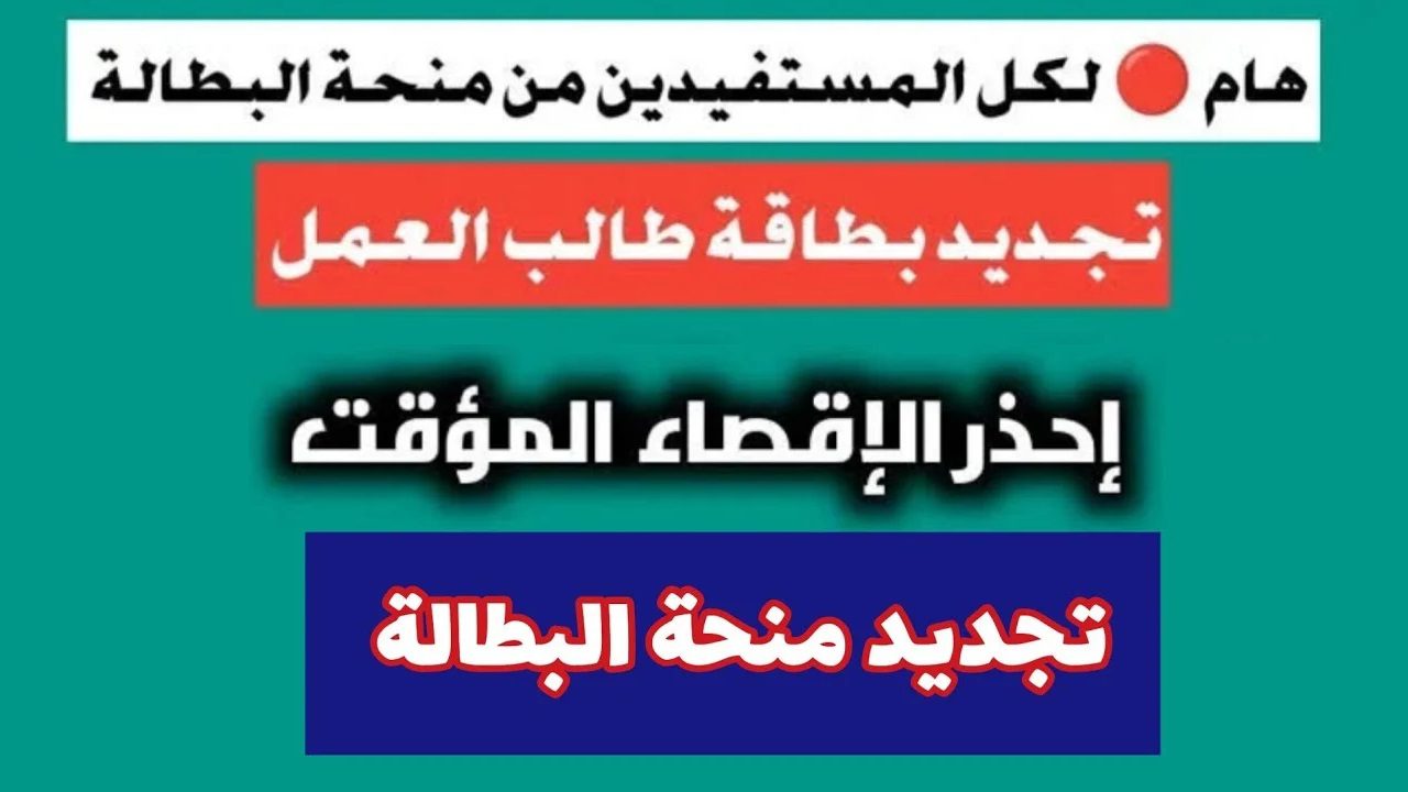 تجنب الإقصاء المؤقت.. خطوات تجديد منحة البطالة في الجزائر 2024 عبر الوكالة الوطنية للتشغيل