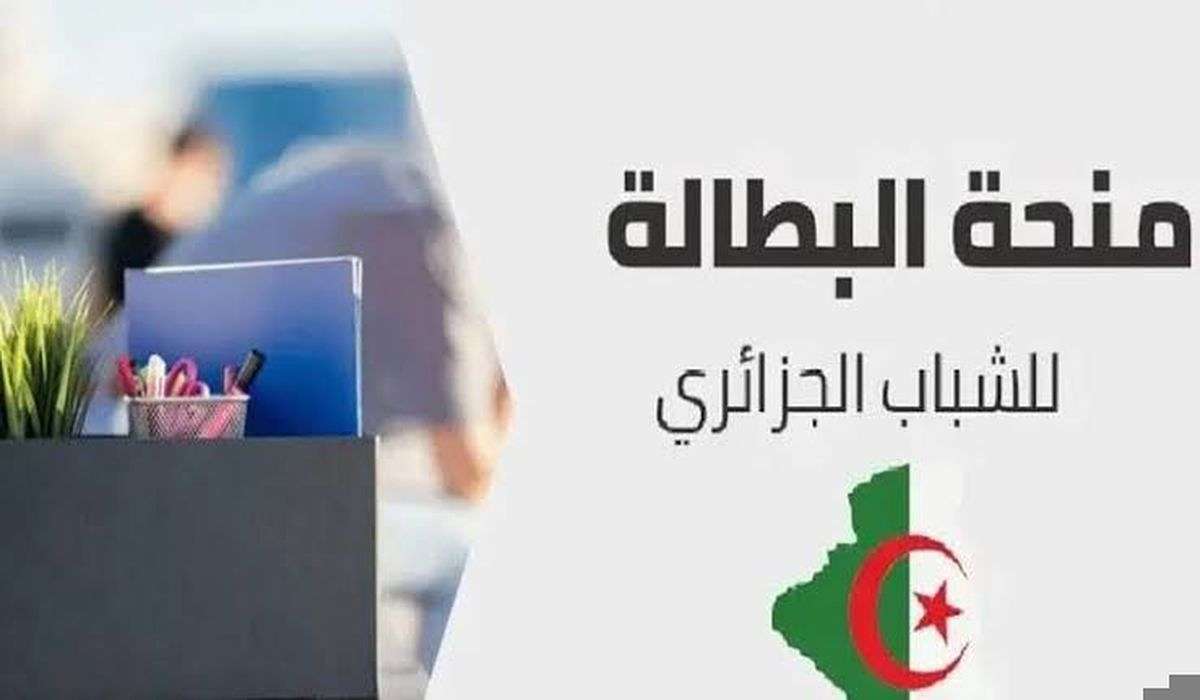 خطوات تجديد منحة البطالة كل 6 أشهر 2024 وشروط الاستحقاق