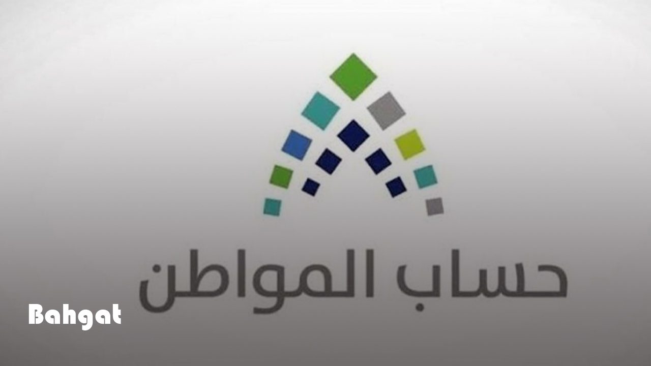 “برنامج الدعم يجيب” كيفية تحديث بيانات حساب المواطن وأسباب عدم صرف الدعم