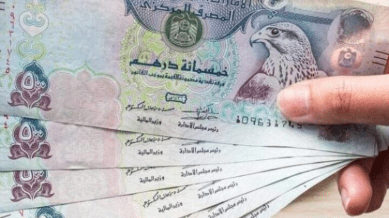 بكام؟ سعر الدرهم الإماراتي اليوم الثلاثاء 13 أغسطس 2024 في البنوك المصرية