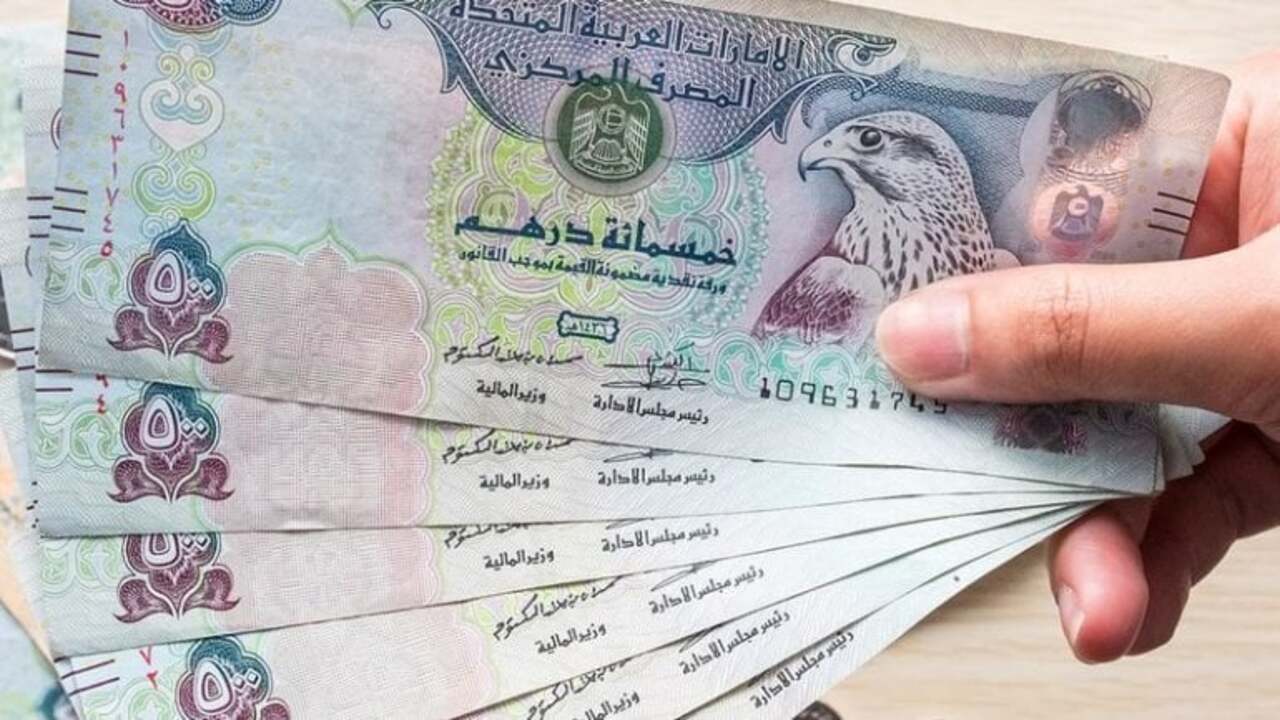 سعر الدرهم الإماراتي مقابل الجنيه المصري اليوم الإثنين 12-8-2024 في البنوك المصرية