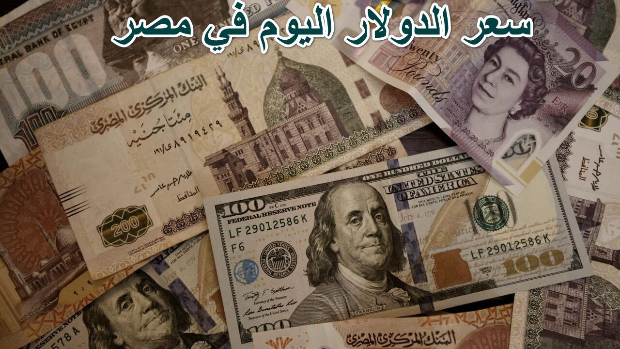 “صعود مفاجىء للجنيه المصري” سعر الدولار اليوم فى مصر الخميس 15 أغسطس وسط توقعات بارتفاع الدولار ليتخطى حاجز 50 جنيه بنهاية 2024