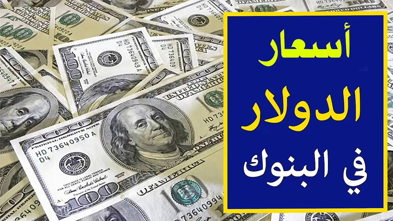 شوف وصل كام النهاردة.. سعر الدولار اليوم الثلاثاء 20 أغسطس 2024 مقابل الجنية المصري في البنوك المصرية