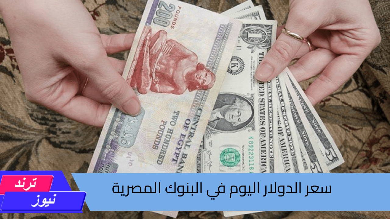 الدولار بكام انهاردة؟ سعر الدولار اليوم في البنوك المصرية الأحد 25 أغسطس 2024