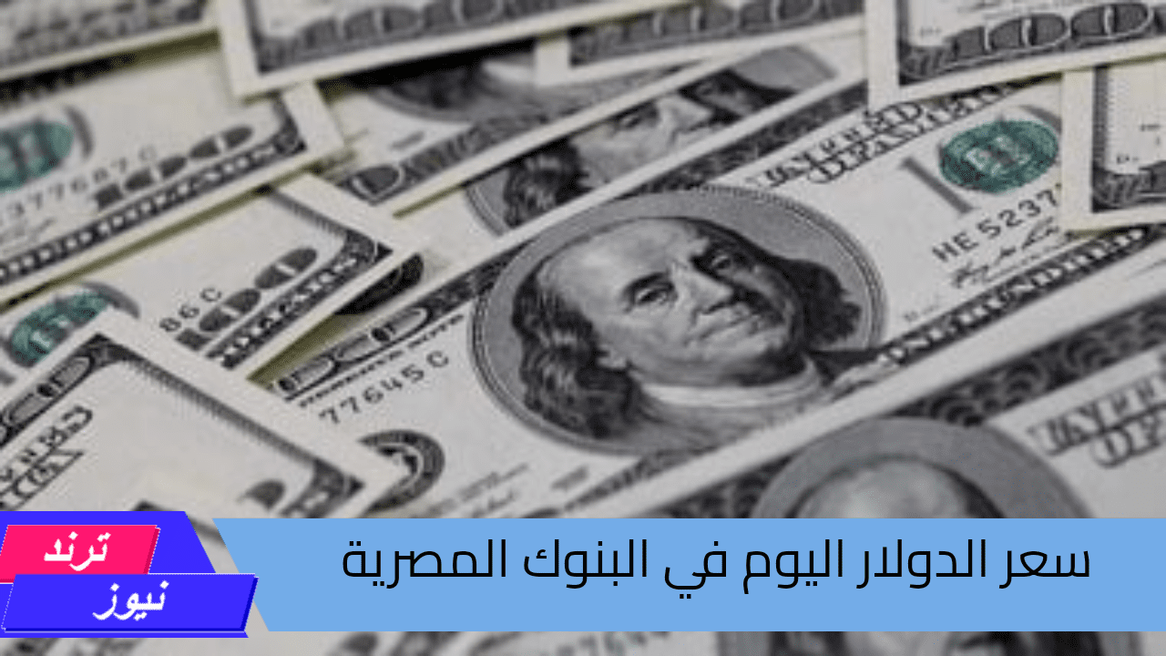 سعر الدولار اليوم الأحد 18 أغسطس 2024.. استقرار تام في البنوك المصرية