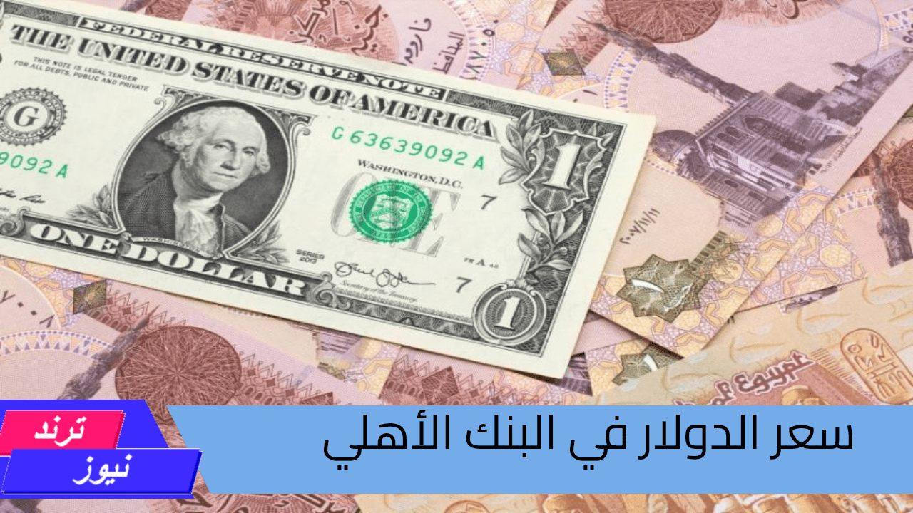 بعد الهبوط.. انخفاض سعر الدولار في البنك الأهلي اليوم السبت 24 أغسطس 2024