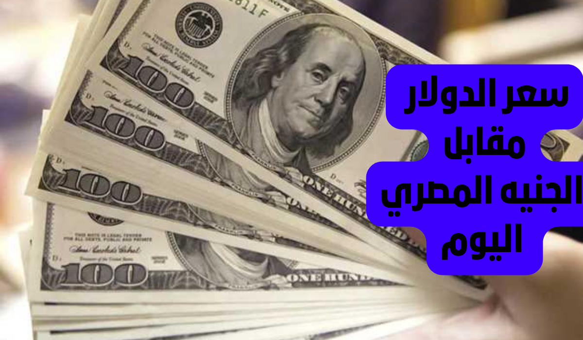 كم وصل سعر الدولار اليوم؟!.. سعر الدولار مقابل الجنيه المصري اليوم الثلاثاء 13 أغسطس 2024 في البنوك المصرية