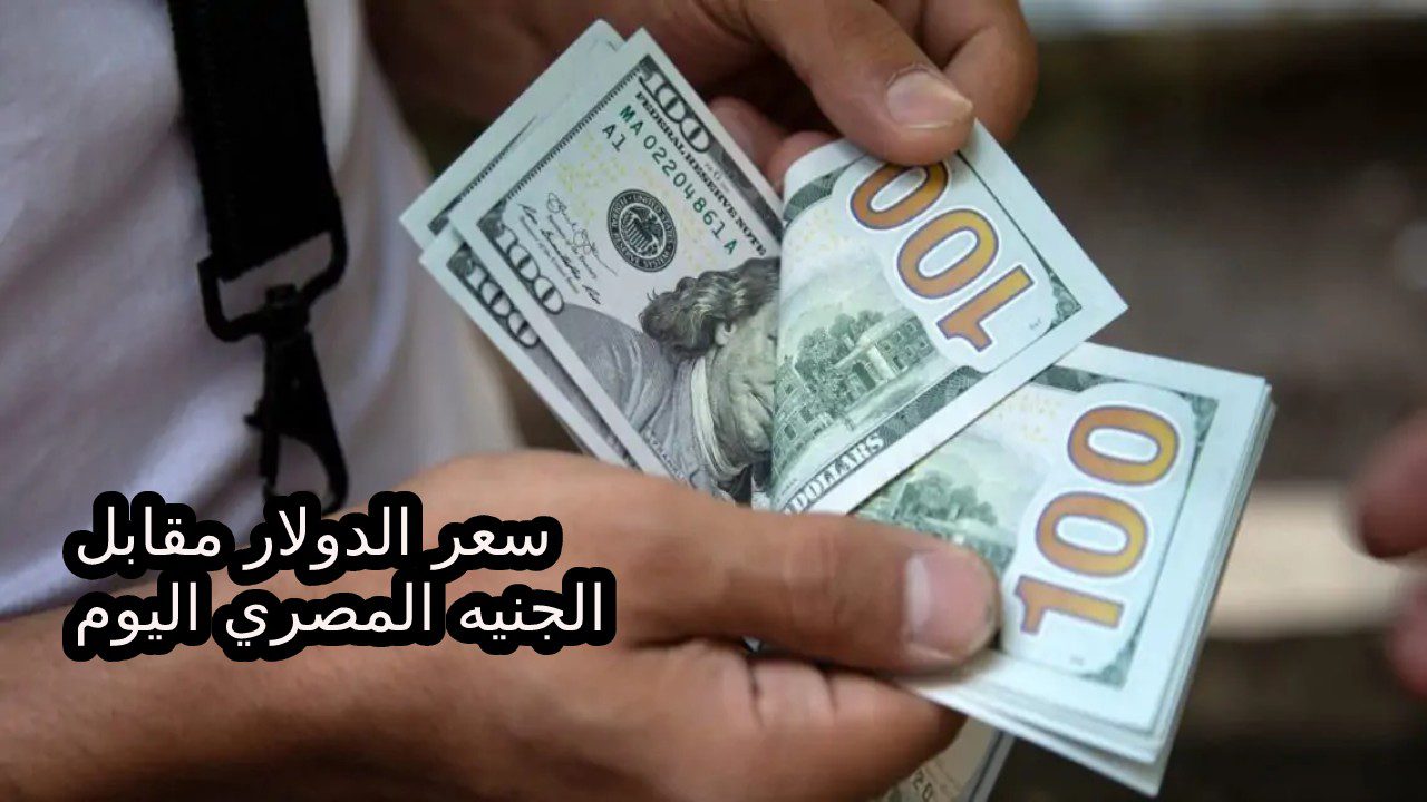 الأخضر وصل كام النهاردة… أنخفاض سعر الدولار مقابل الجنيه اليوم 28 أغسطس 2024 أخر تحديث للأسعار بعد الانخفاض