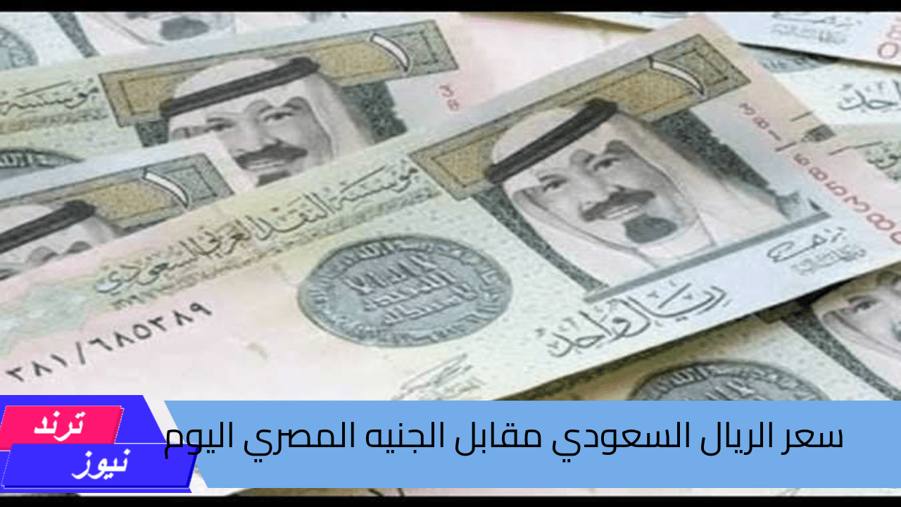 أسعار الصرف لحظة بلحظة.. سعر الريال السعودي مقابل الجنيه المصري اليوم في المركزي والبنوك المصرية