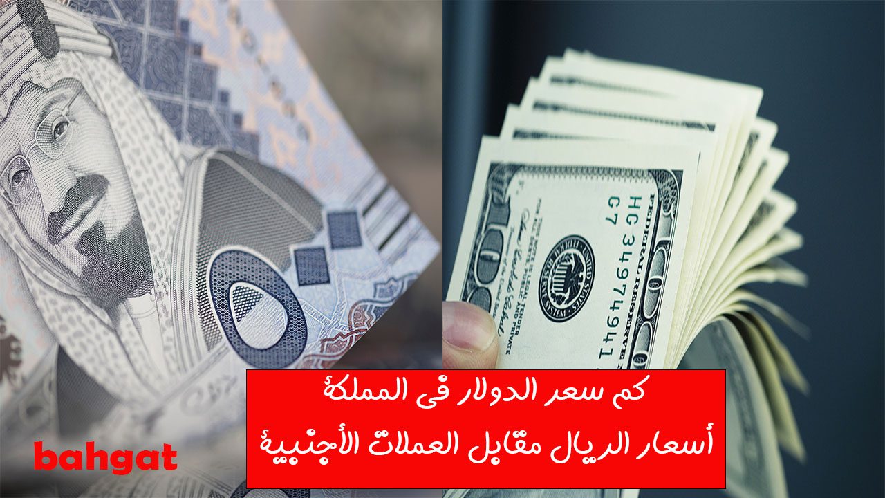 كم سعر الدولار في المملكة… سعر الريال السعودي مقابل العملات الأجنبية 16 / 2 / 1446