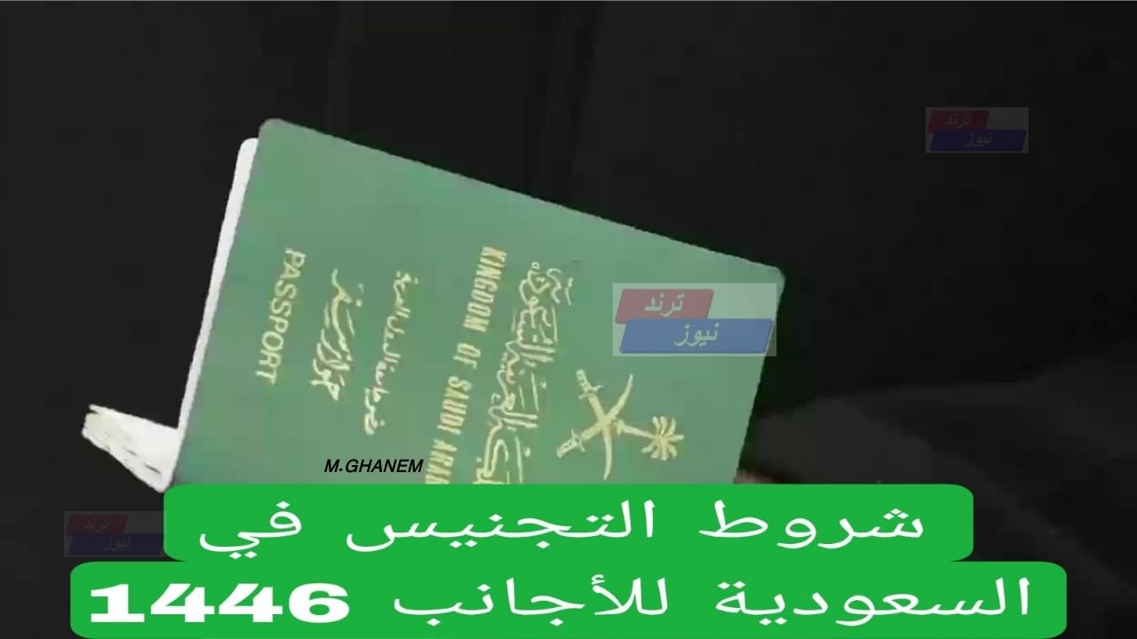 شروط تجنيس السعودية للأجانب 1446 الأوراق والمستندات المطلوبة ورابط التقديم.. الديوان الملكي يعلنها