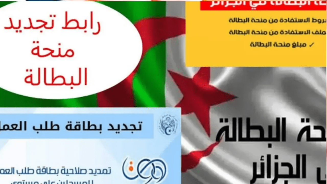 الوكالة توضح حقيقة زيادة 5000 د.ج لمنحة البطالة في الجزائر 2024 كيفية التجديد