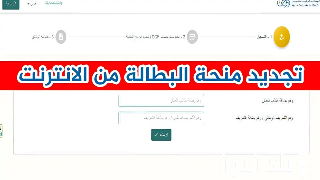 ”الوكالة الوطنية للتشغيل“ موقع تجديد منحة البطالة 2024 بالجزائر