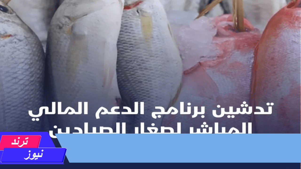 شروط الحصول على الدعم المالي المباشر لصغار الصيادين 50 الف ريال.. وخطوات التقديم 1446