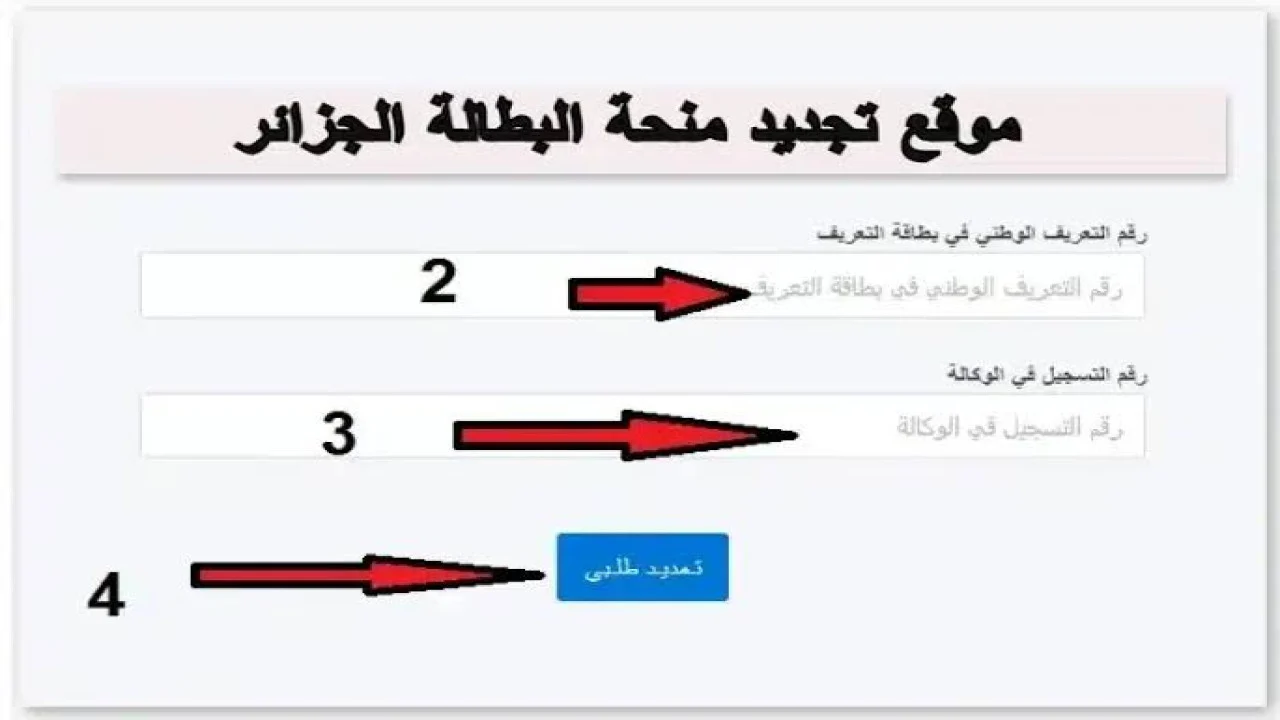 “الوكالة الوطنية للتشغيل” توضح خطوات تجديد منحة البطالة في الجزائر عبر الموقع الرسمي anem.dz والشروط