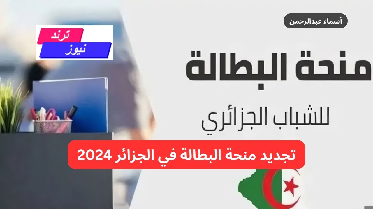 جددها من بيتك.. خطوات تجديد منحة البطالة في الجزائر 2024 وأهم الشروط anem dz