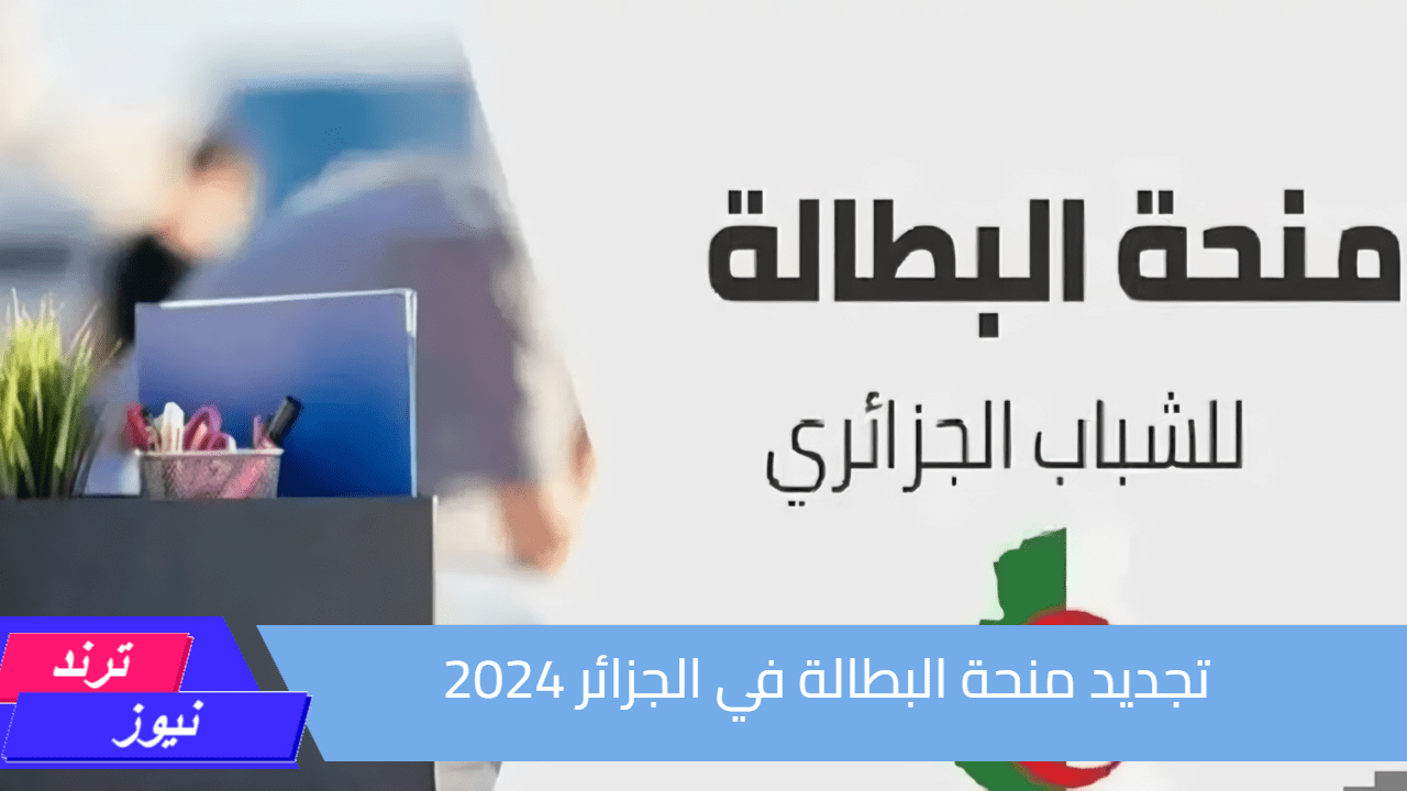 الوكالة الوطنية للتشغيل.. رابط وخطوات تجديد منحة البطالة في الجزائر 2024 عبر anem.dz