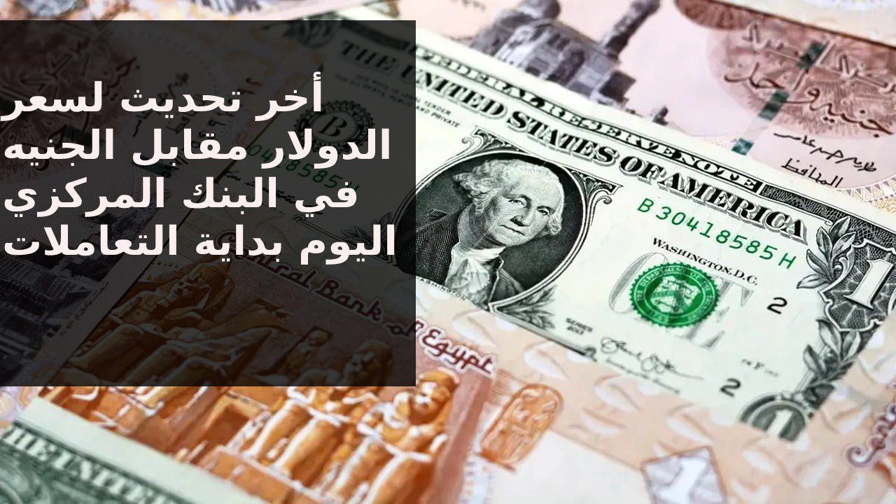 كم سعر الدولار في البنك النهاردة… أخر تحديث أسعار الدولار مقابل الجنيه المصري اليوم الخميس 19-9-2024 في البنوك المصرية