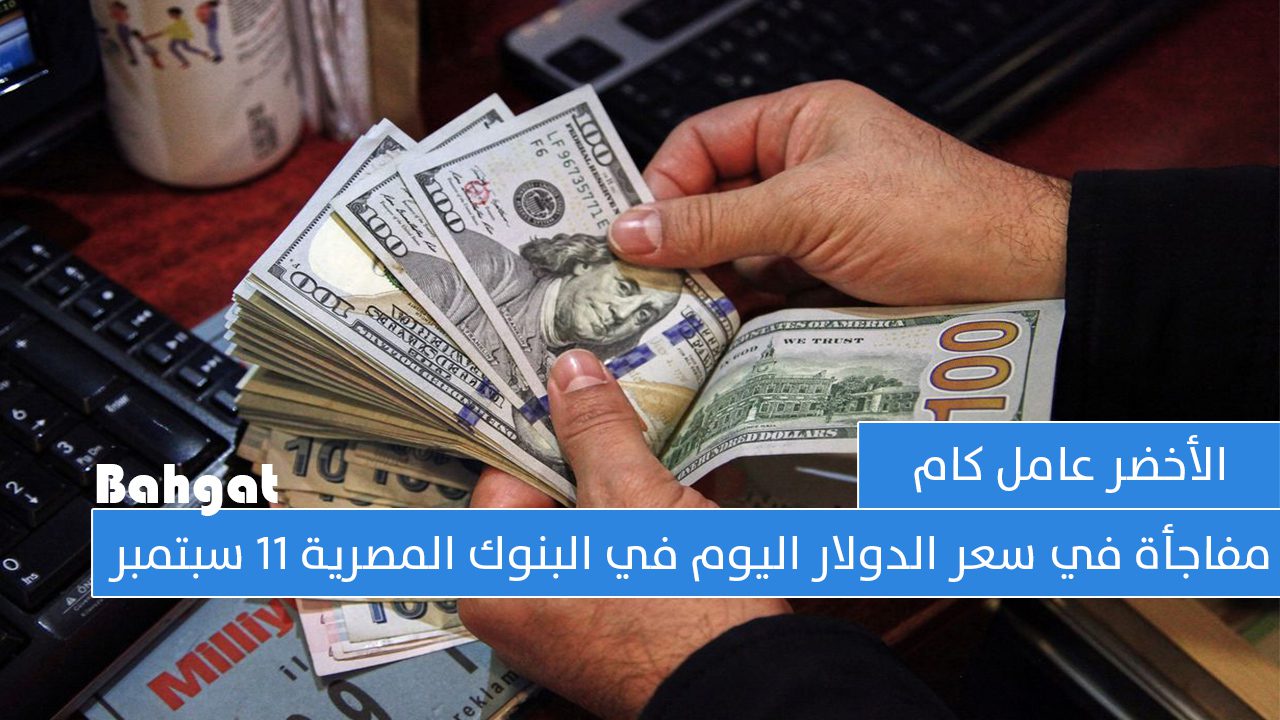 الأخضر رايح فين… مفاجأة في سعر الدولار اليوم في البنوك المصرية 11 سبتمبر