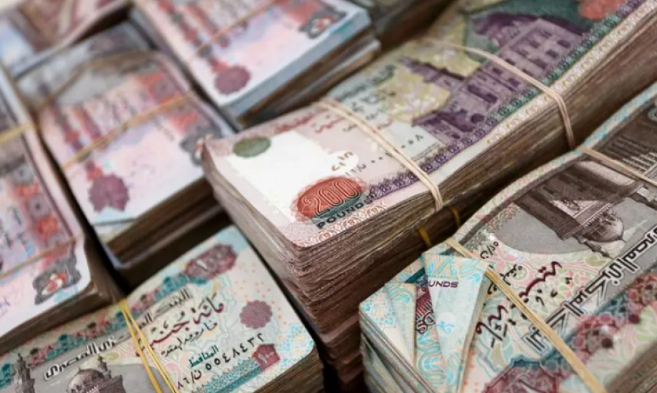 فكرة مشروع مربح برأس مال 20 ألف جنيه ومكسب مضاعف.. «مش هتخسر»