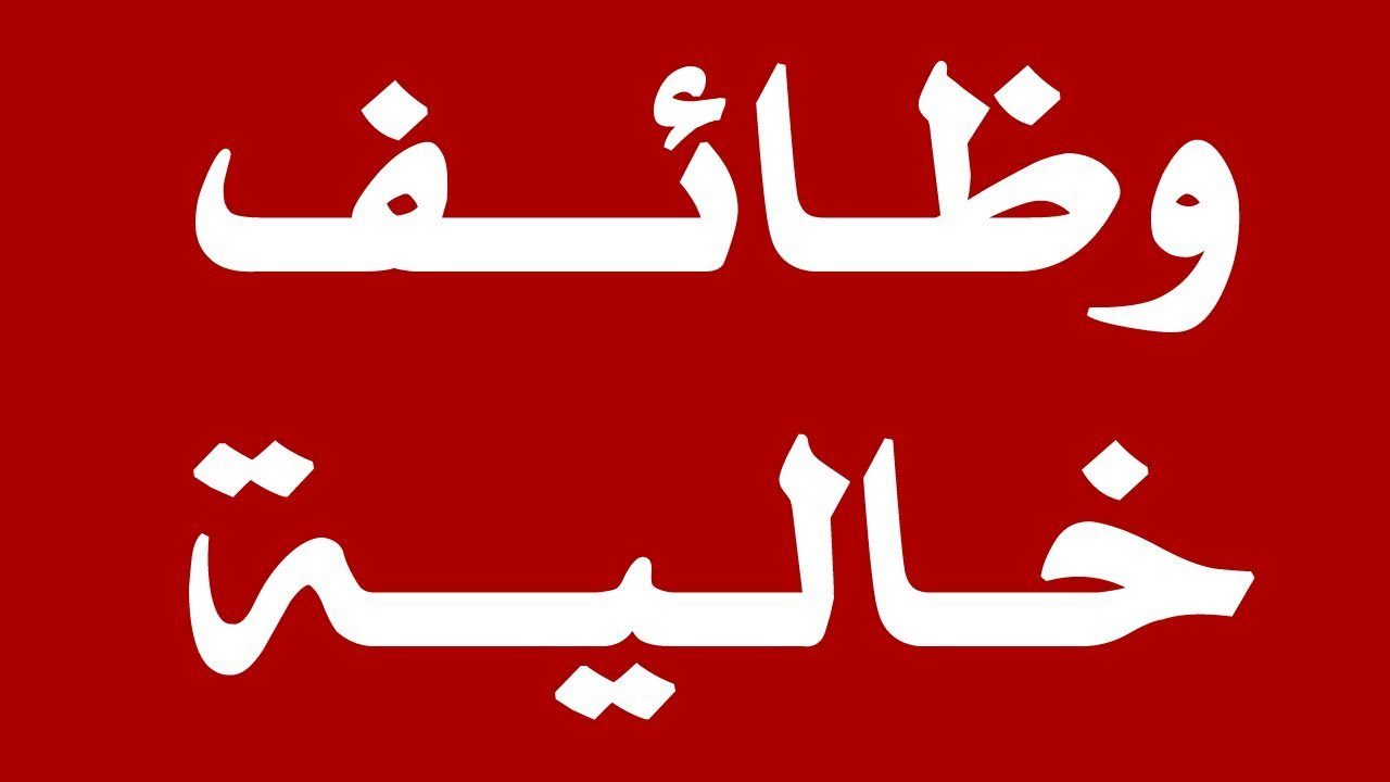 وظائف وزارة العمل المصرية.. 7745 فرصة عمل جديدة لجميع المؤهلات في 15 محافظة برواتب مجزية.. طريقة التقديم