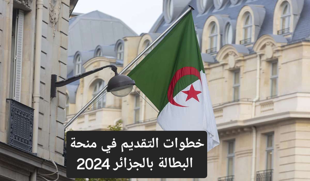 خطوات التقديم في منحة البطالة بالجزائر 2024 عبر الوكالة الوطنية للتشغيل