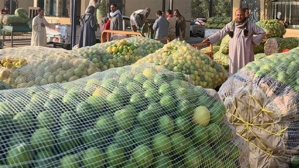 نقيب الفلاحين: كيلو الليمون وصل لـ60 جنيهًا.. وسيواصل الارتفاع حتى بعد شهر رمضان