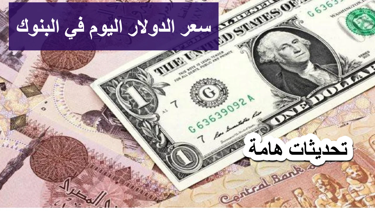 سعر الدولار اليوم في البنوك المصرية ببداية التعاملات بعد التحرك الأخير