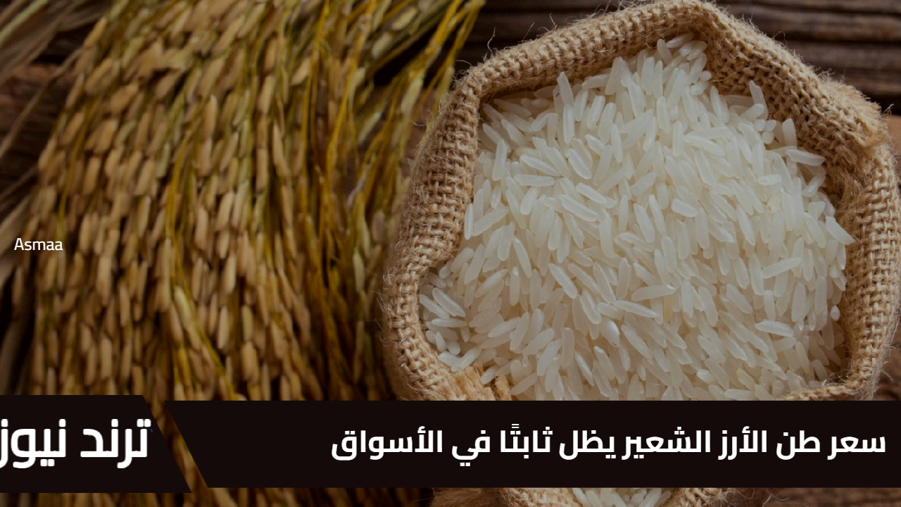 سعر طن الأرز الشعير يظل ثابتًا في الأسواق وسط زيادة الطلب قبل رمضان