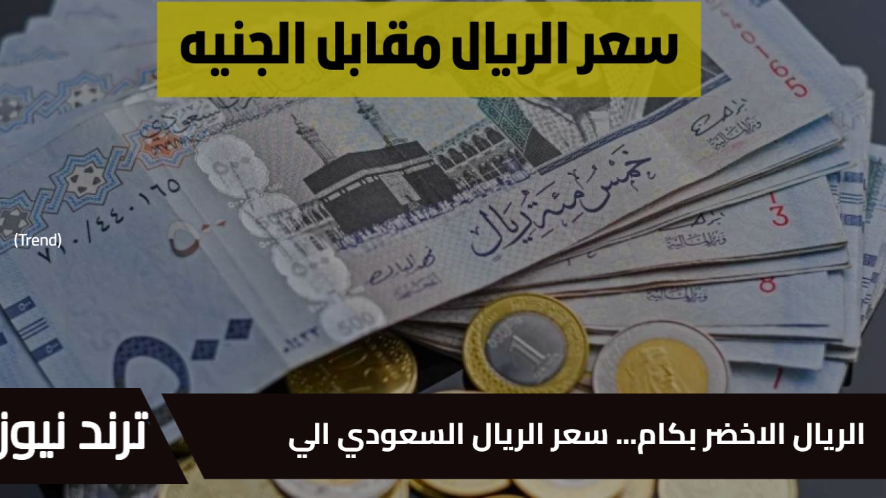 الريال الاخضر بكام… سعر الريال السعودي اليوم مقابل الجنيه المصري اليوم الأحد 12 يناير 2025