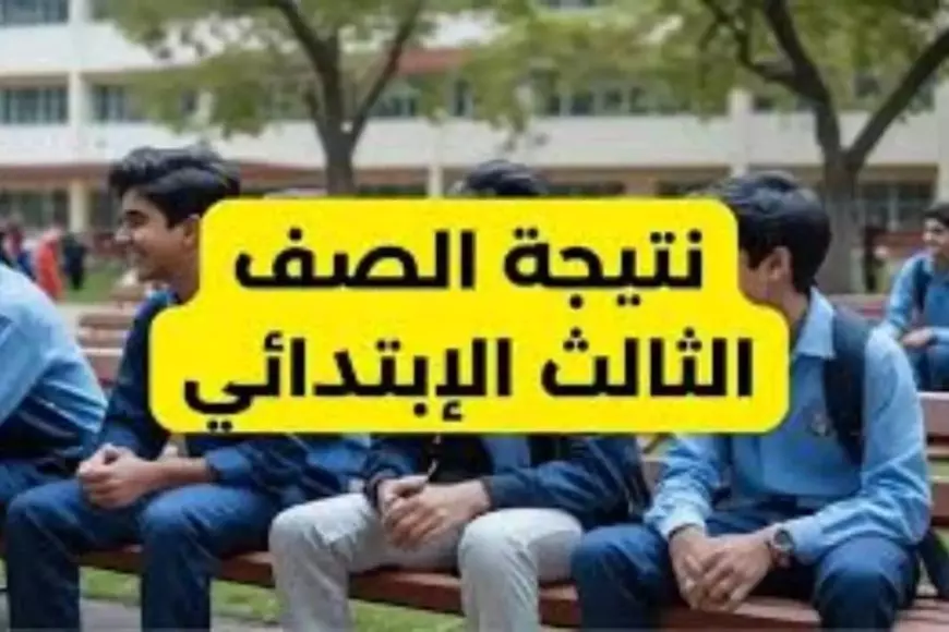 نتيجة الصف الثالث الابتدائي محافظة القاهرة ورابط الاستعلام عبر eduserv.cairo.gov.eg