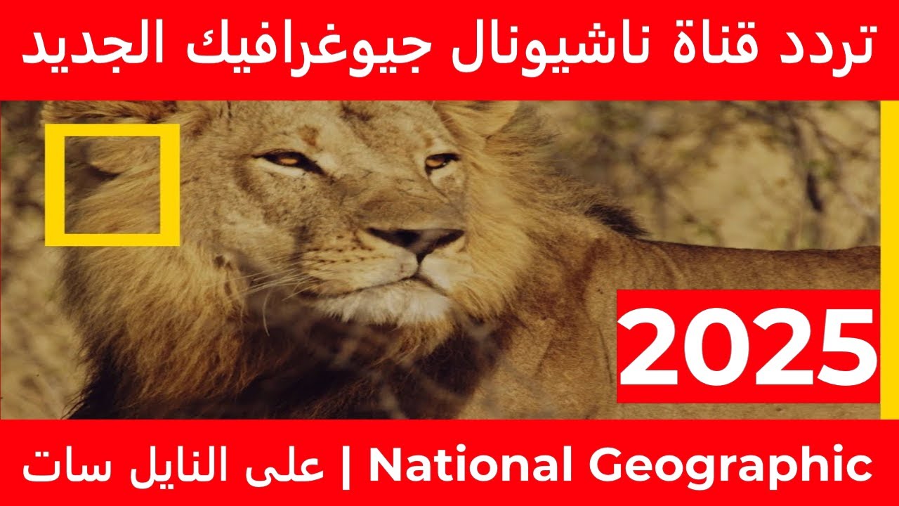 تردد قناة ناشيونال جيوغرافيك 2025 National Geographic علي نايل سات وعرب سات مجانا واستمتع بالعالم من حولك