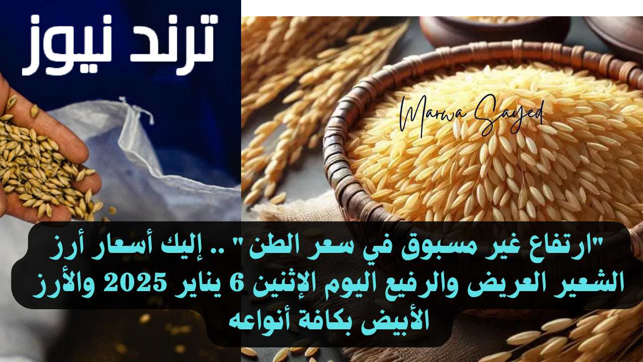 “ارتفاع غير مسبوق في سعر الطن” .. إليك أسعار أرز الشعير العريض والرفيع اليوم الإثنين 6 يناير 2025 والأرز الأبيض بكافة أنواعه