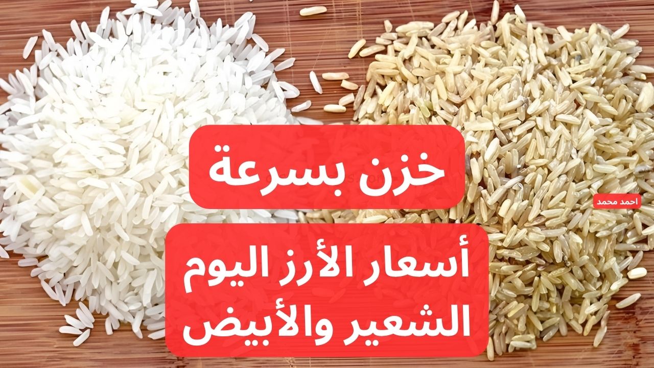 خزن قبل رمضان.. سعر طن الأرز الشعير اليوم الأربعاء 15 يناير 2025 في السوق