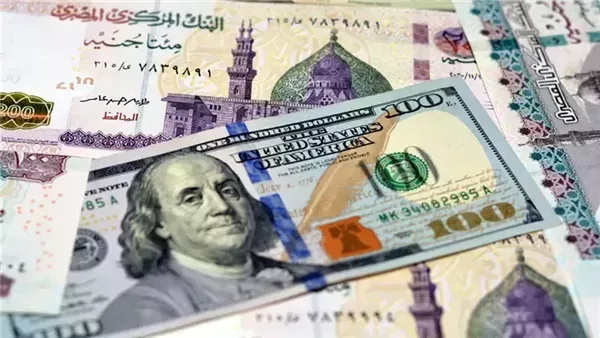 تقلبات جديدة في سعر الدولار اليوم 5 فبراير 2025 في مصر تؤثر على السوق المحلي