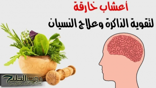 «فاكهة من الجنة!».. معجزة طبيعية مُهملة في الأسواق تقوي الذاكرة وتعيد شباب الدماغ!