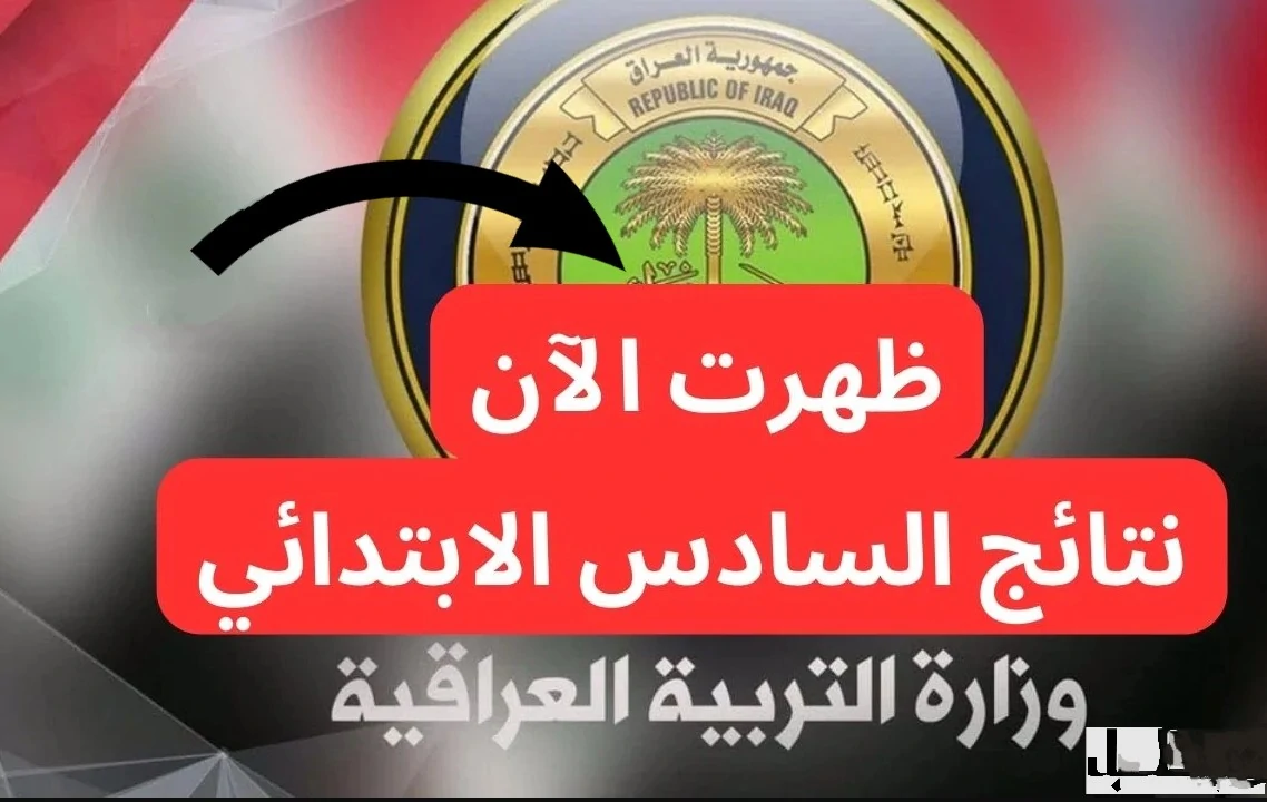 ظهـرت الآن :: استعلم عن نتائج السادس ابتدائي نينوي 2025 أسمــاء الناجحيــن عبر موقع نتائجنا nataegna.net