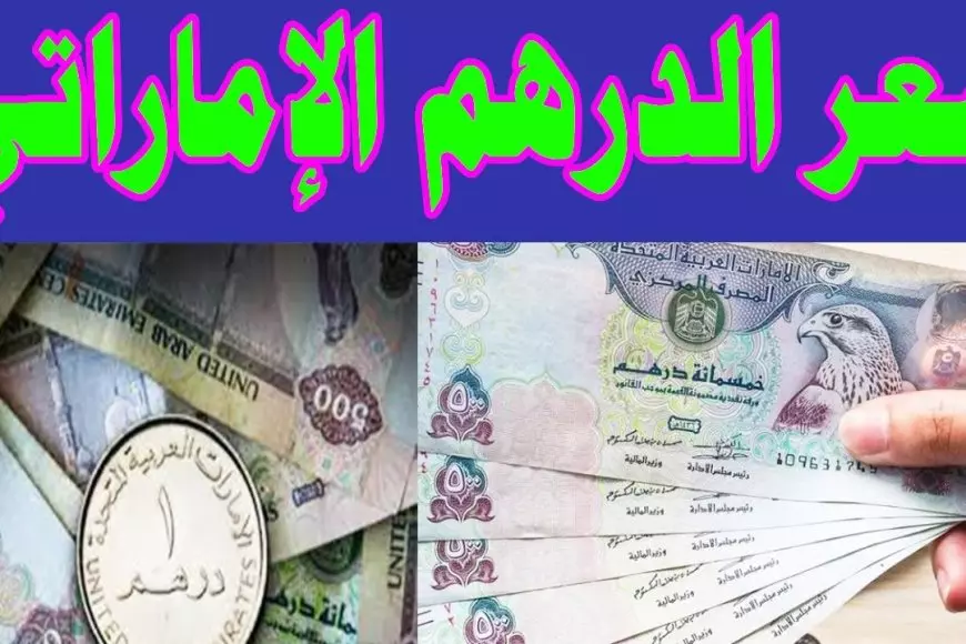 استقرار سعر الدرهم الإماراتي اليوم السبت 1 فبراير 2025 في السوق السوداء والبنوك المصرية