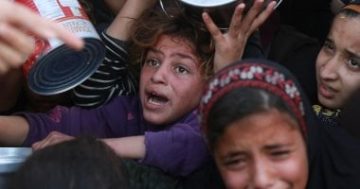 مصورو غزة يوثقون المجاعة ومعاناة الفلسطينيين فى القطاع.. صور