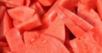 ‌الأنظمة الغذائية المكونة من نوع طعام واحد تخفض الوزن أم خطيرة على صحتك؟