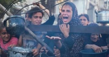 الصحة العالمية: ارتفاع قاتل فى معدلات سوء التغذية بين سكان غزة