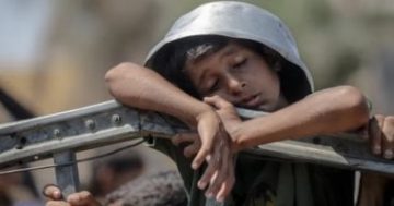 7 وفيات بسبب سوء التغذية والمجاعة في غزة خلال الـ24 ساعة الماضية